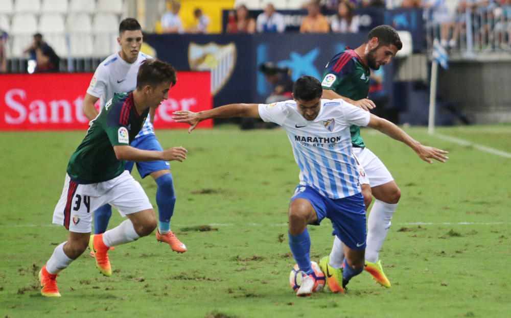 Horrendo el césped. Foto: LaopinióndeMálaga
