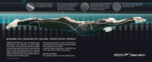 Foto vía: speedo.es