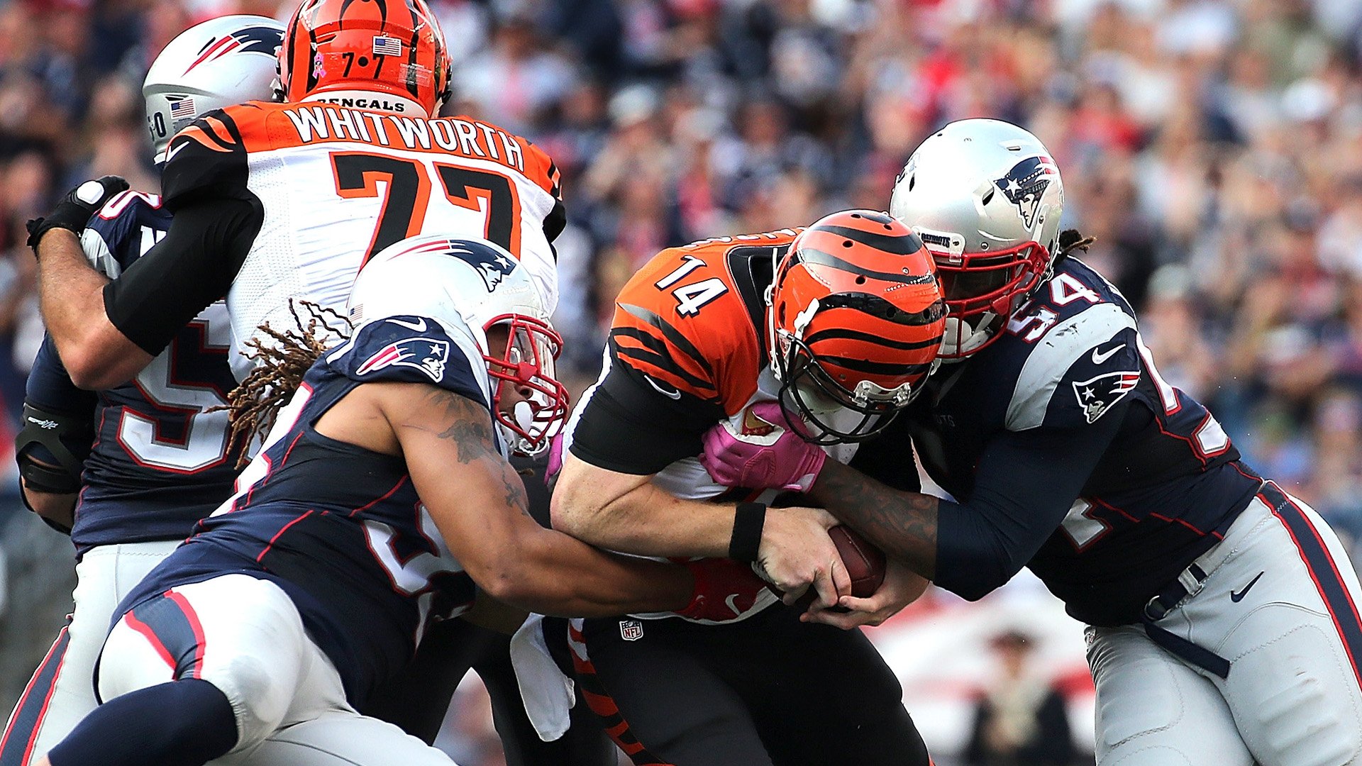 FOXBORO, MA - OCTOBER 16: Dont'a Hightower #54 of the New England Patriots and Jabaal Sheard #93 sack Andy Dalton #14 of the Cincinnati Bengals in the second half at Gillette Stadium on October 16, 2016 in Foxboro, Massachusetts. (Photo by Jim Rogash/Getty Images)