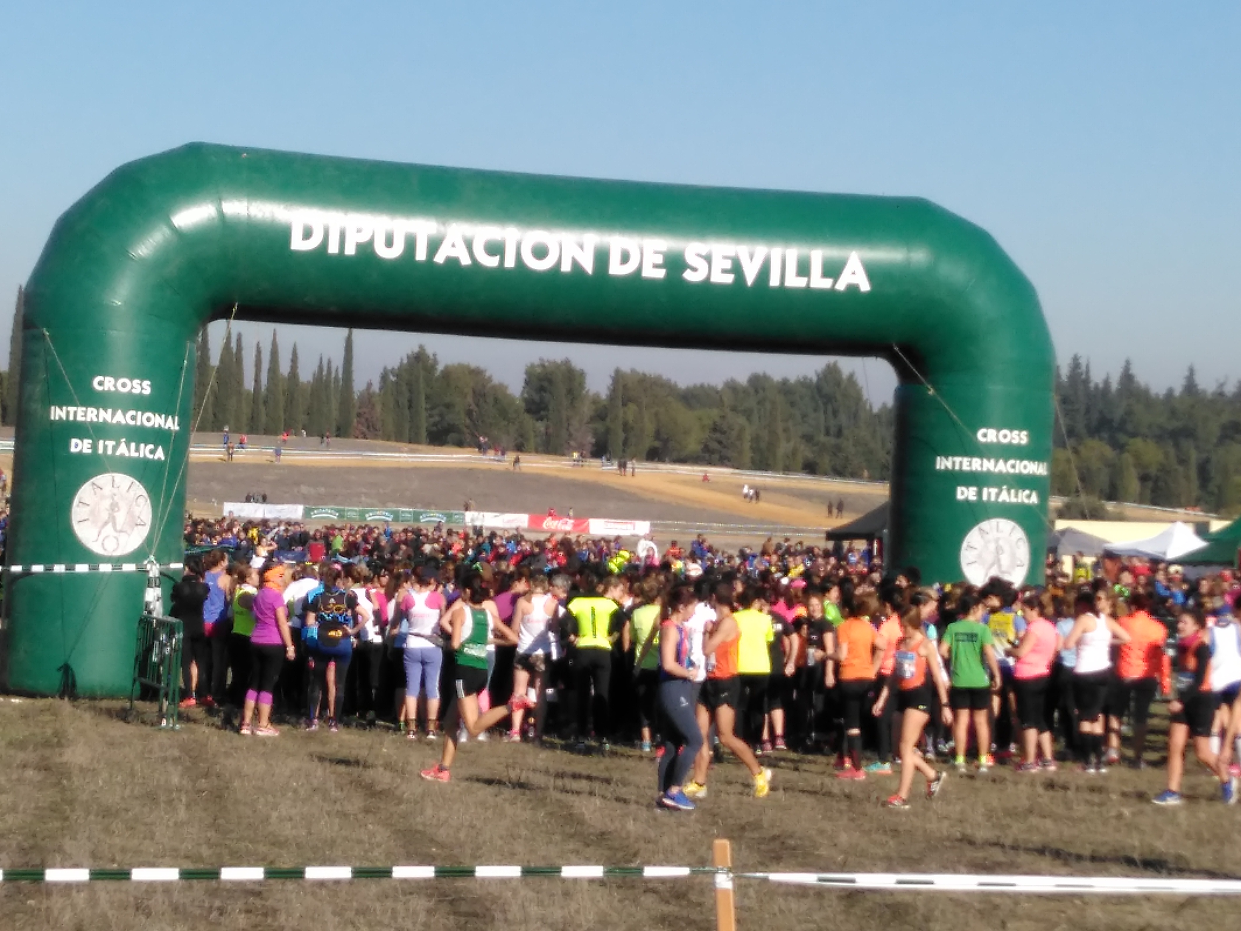 XXXVI #crossinternacionalitalica Santiponce, Sevilla #rfea #atletismo