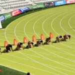 Galería de fotos del Campeonato de España sub20 2020. Estadio de Vallehermoso, Madrid | Foto: Ángela F. Sobral