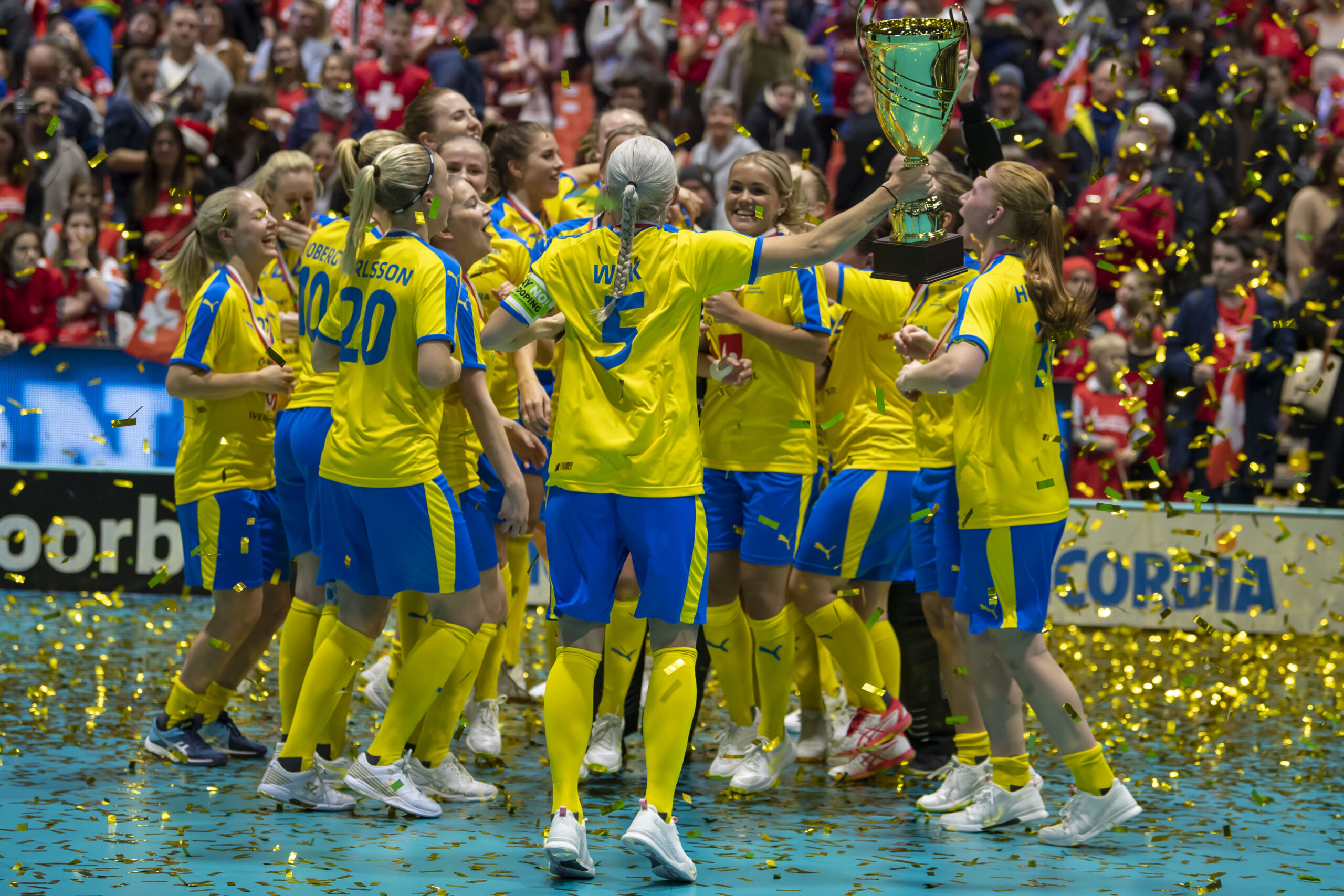 Campeonas del Mundo 2019